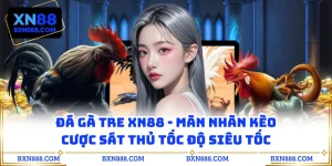 Đá Gà Tre XN88 - Mãn Nhãn Kèo Cược Sát Thủ Tốc Độ Siêu Tốc